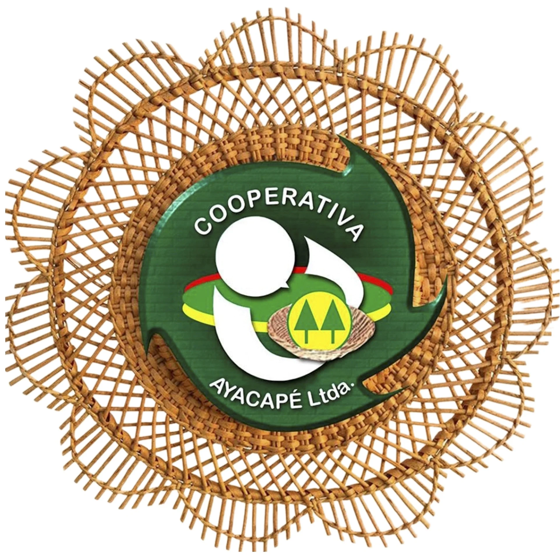 Ayacape