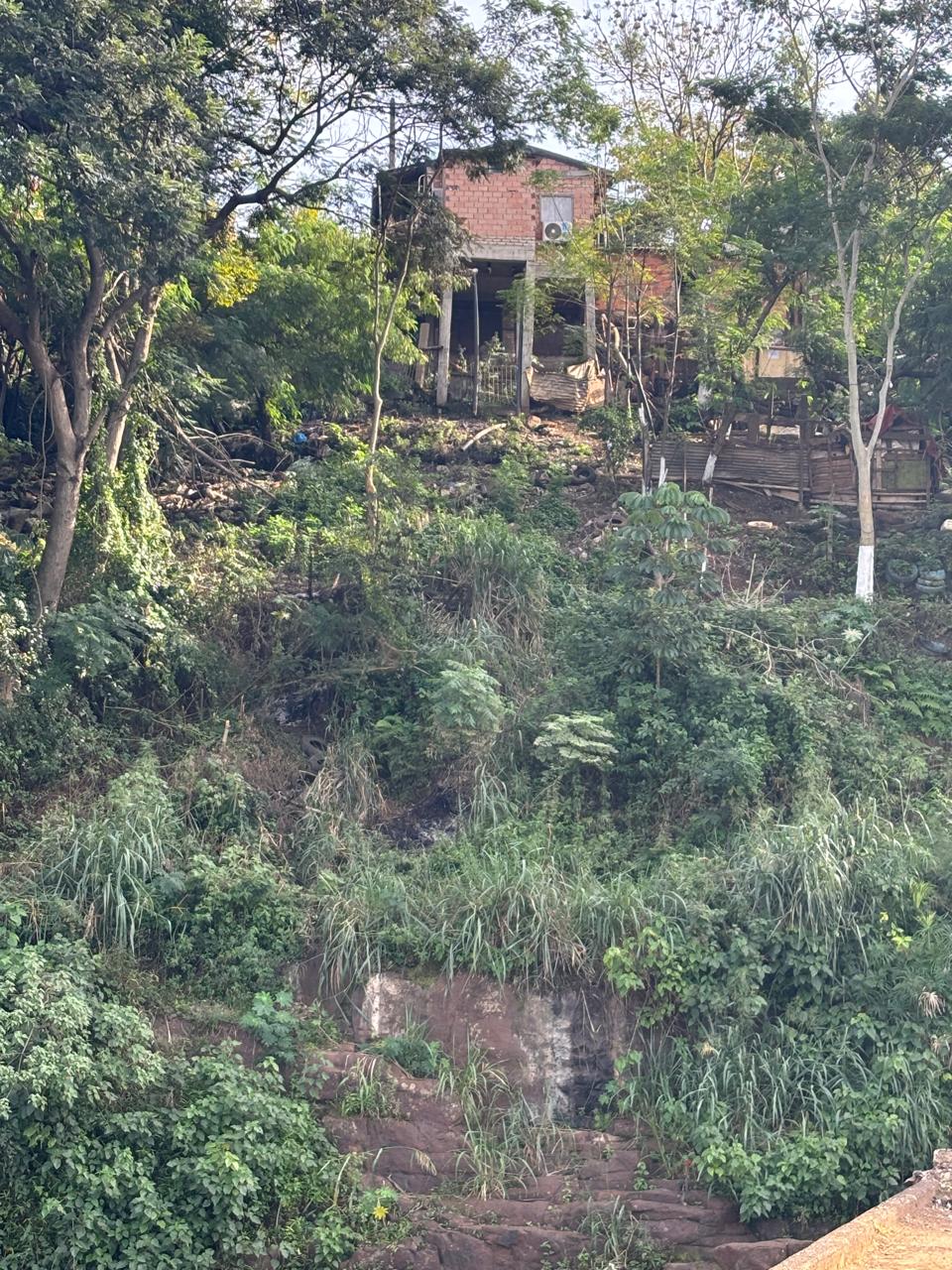 Foto de galería