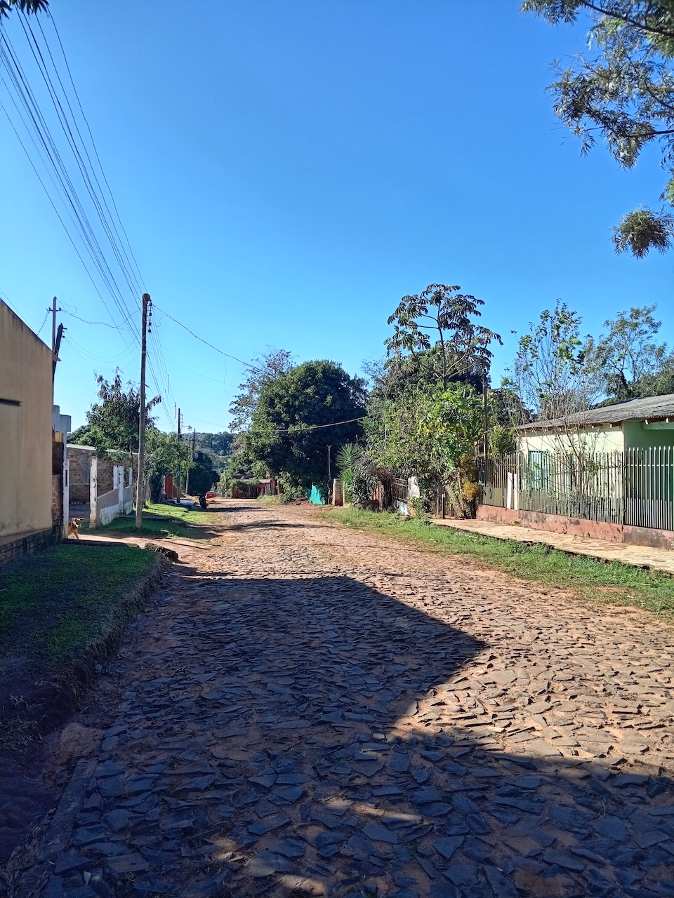 Foto de galería