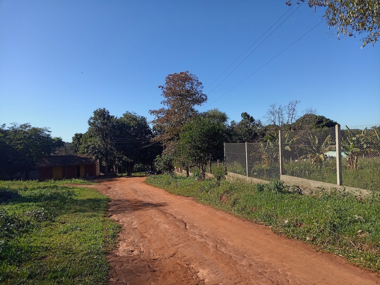 Foto de galería