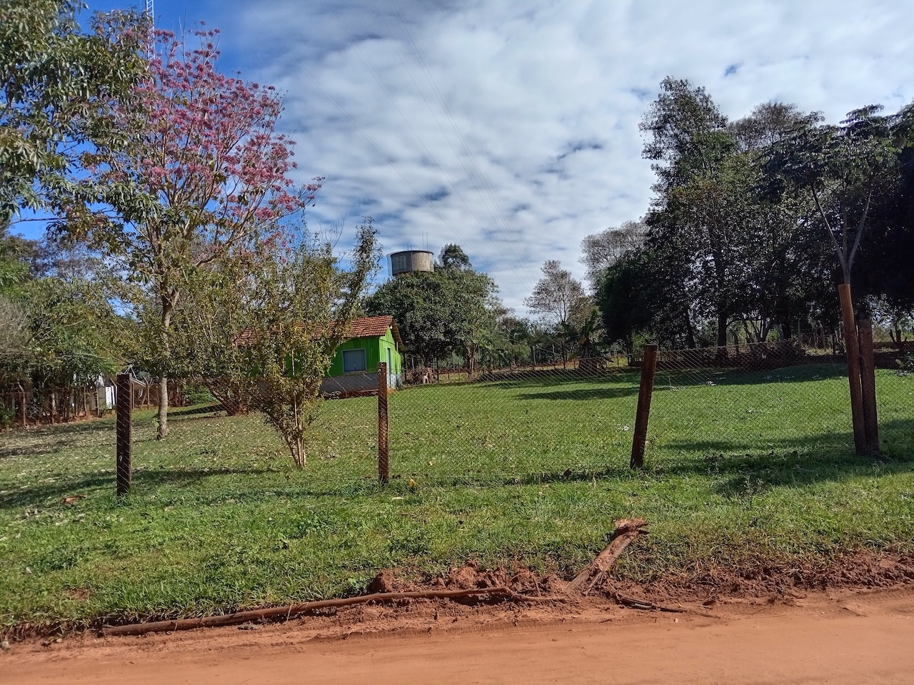 Foto de galería