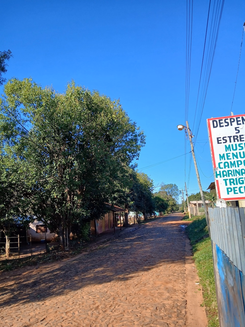 Foto de galería
