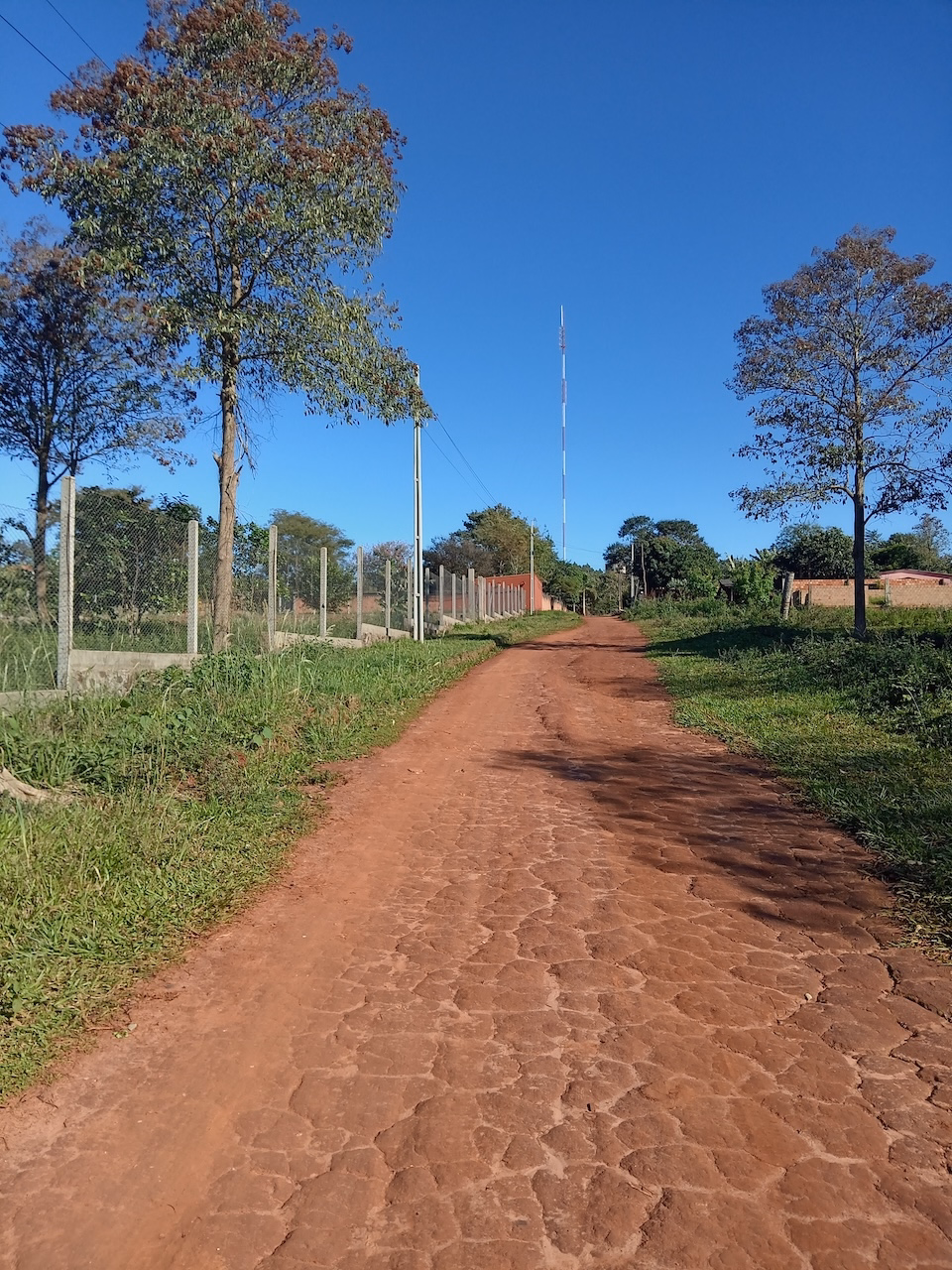 Foto de galería