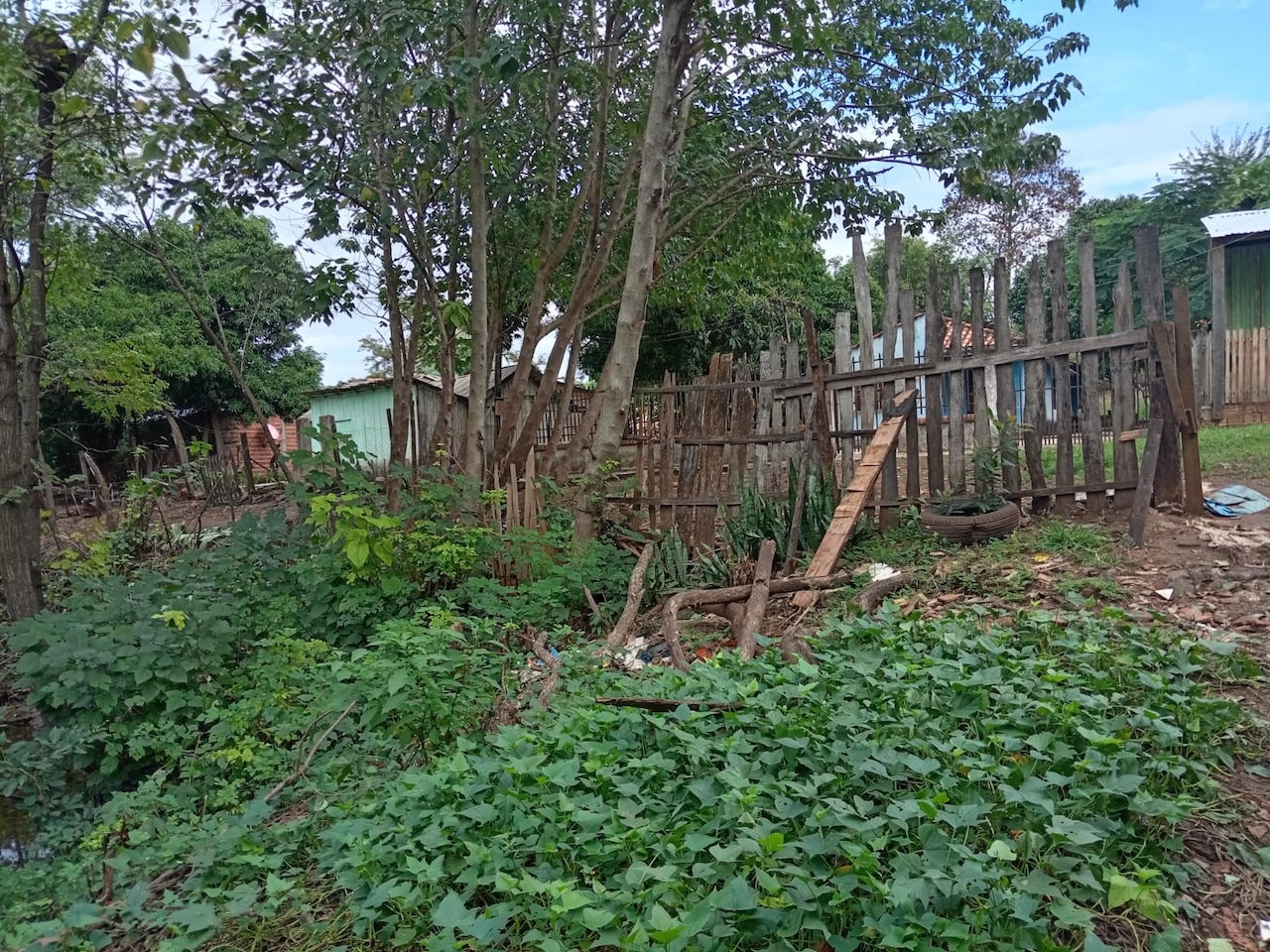 Foto de galería