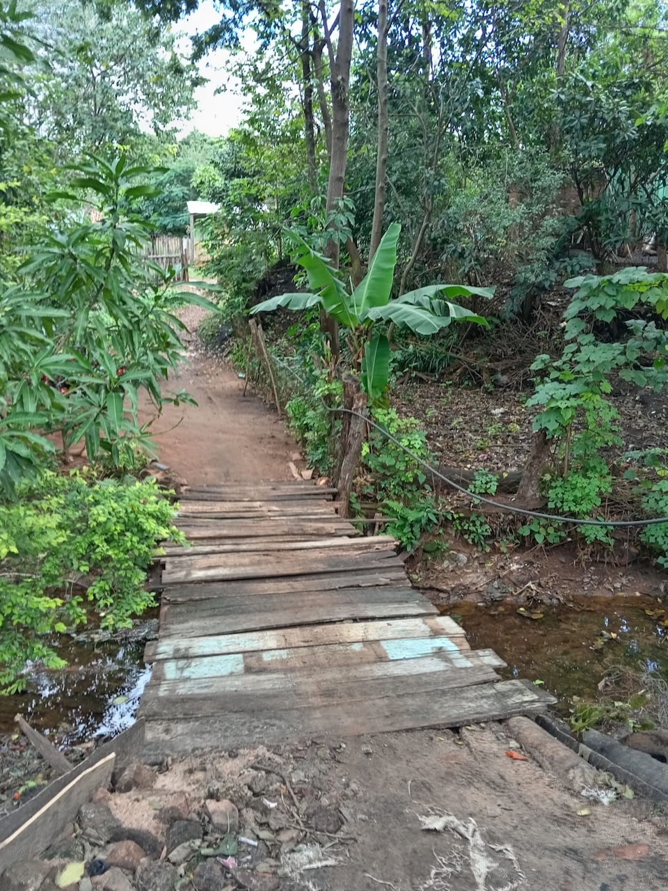 Foto de galería