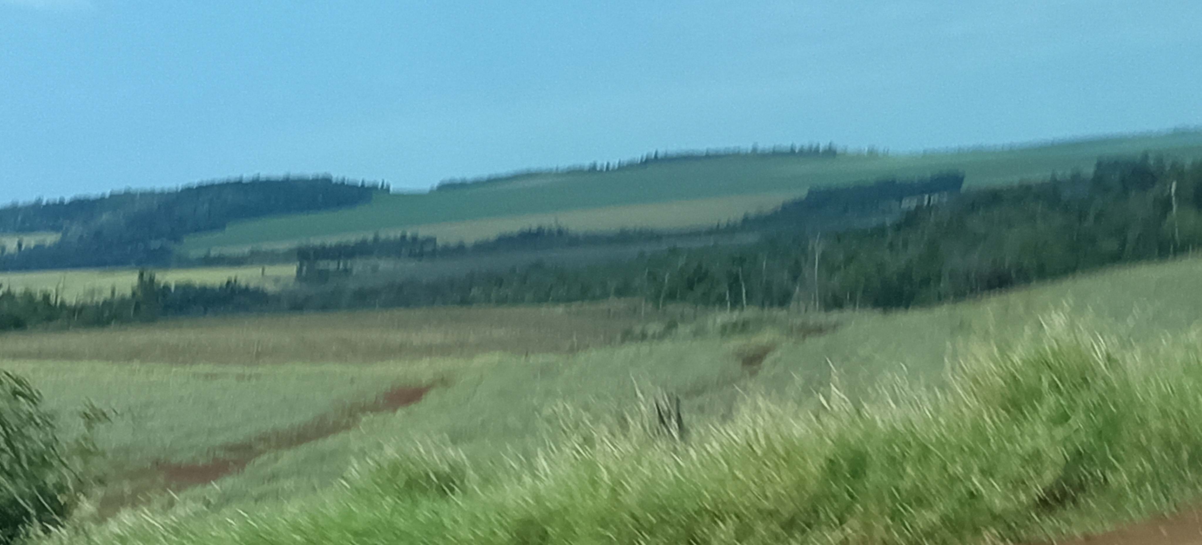 Foto de galería