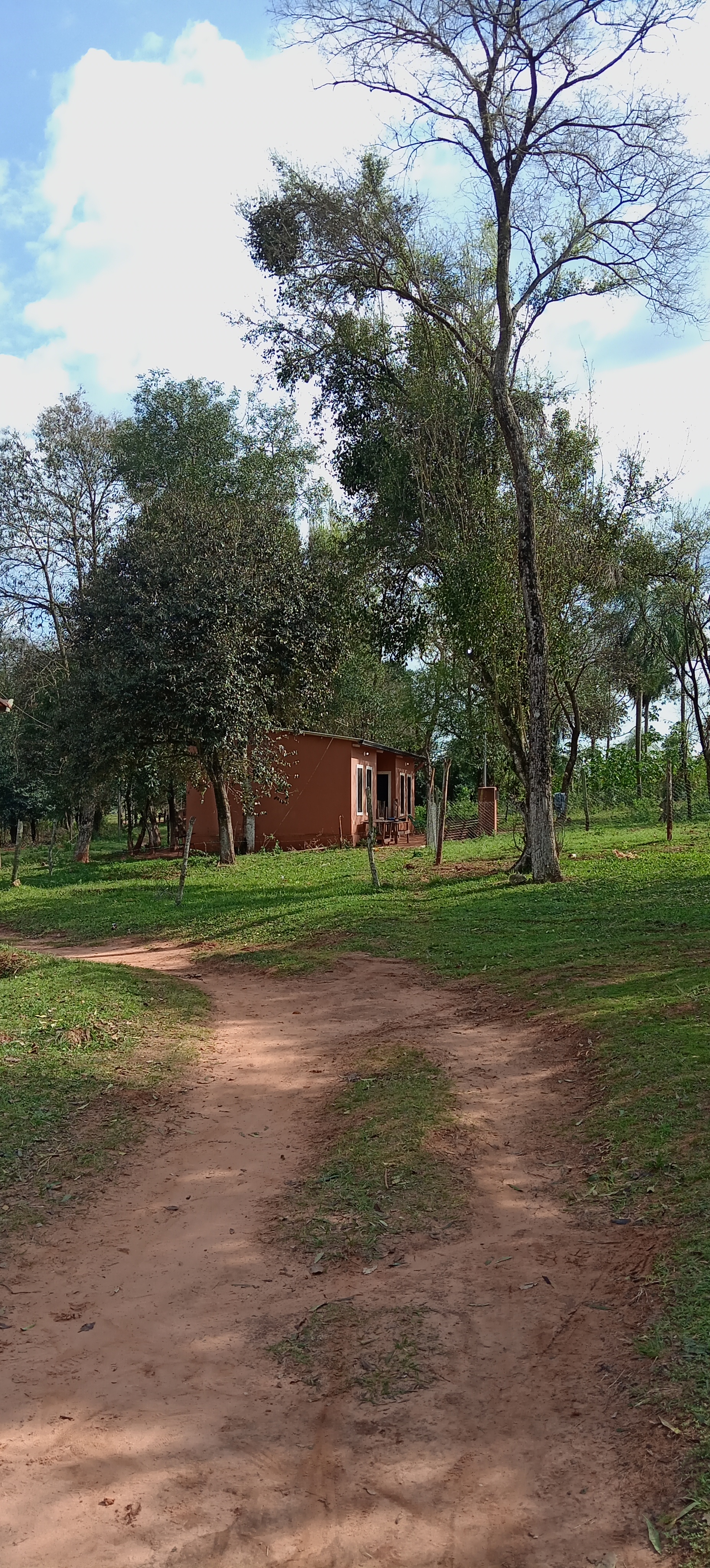 Foto de galería