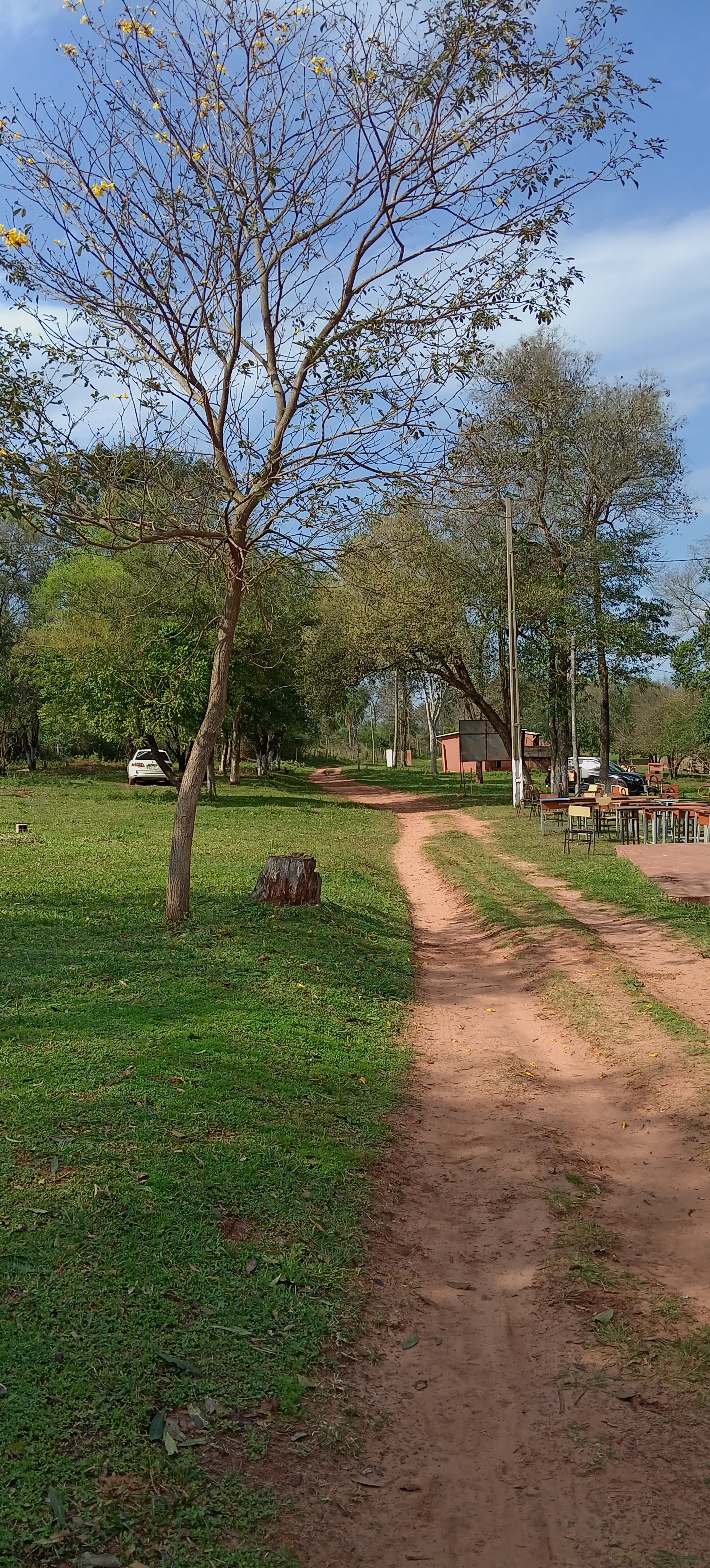 Foto de galería