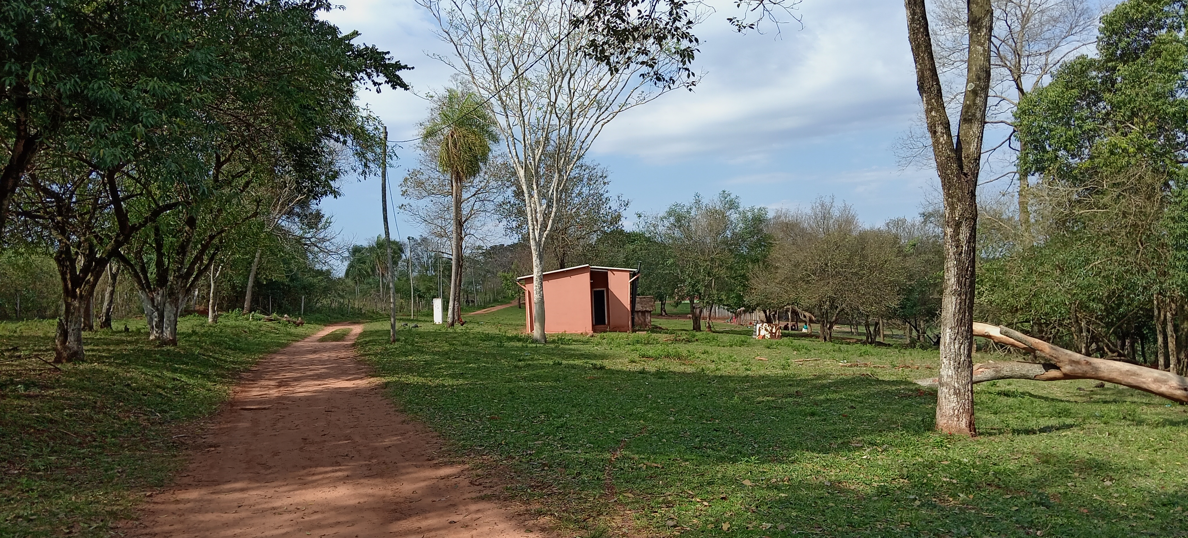 Foto de galería
