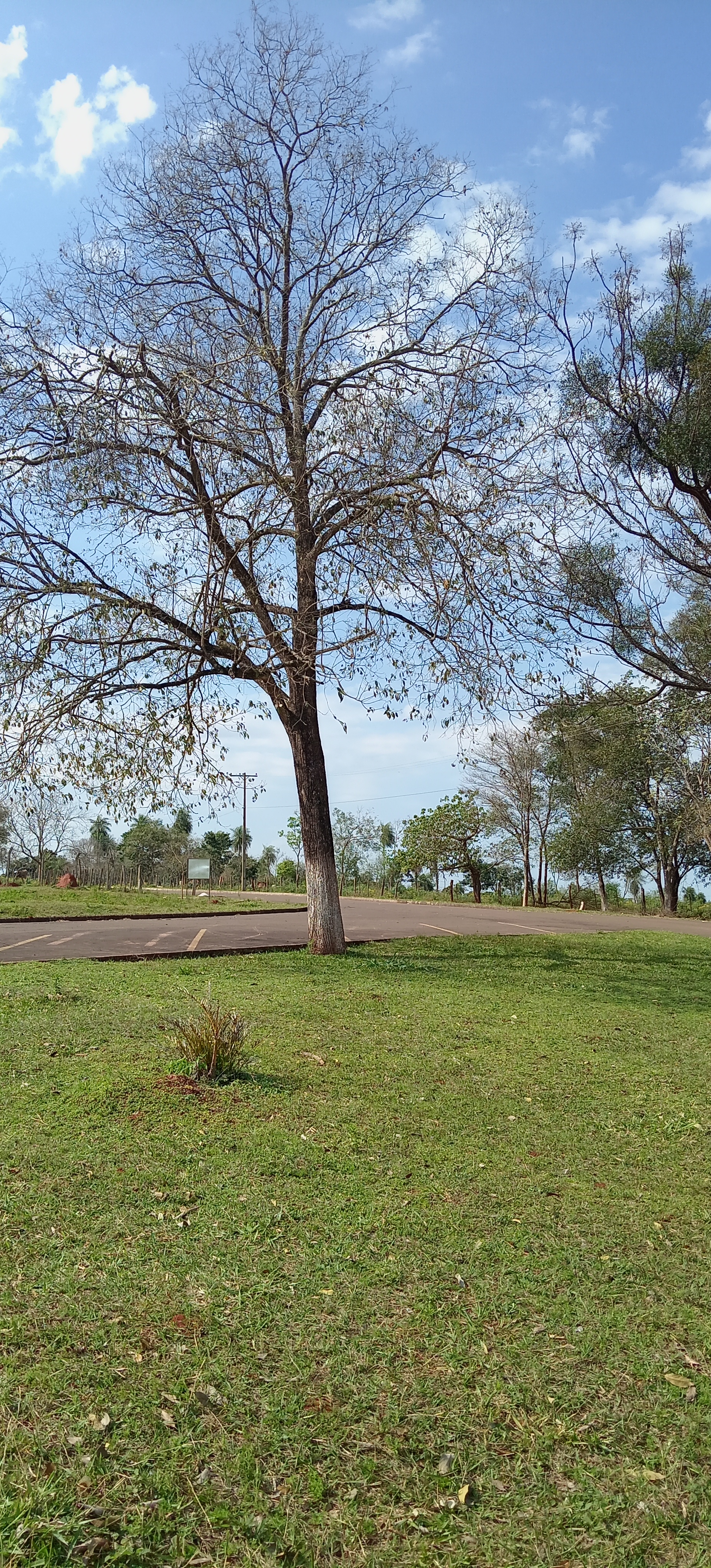 Foto de galería