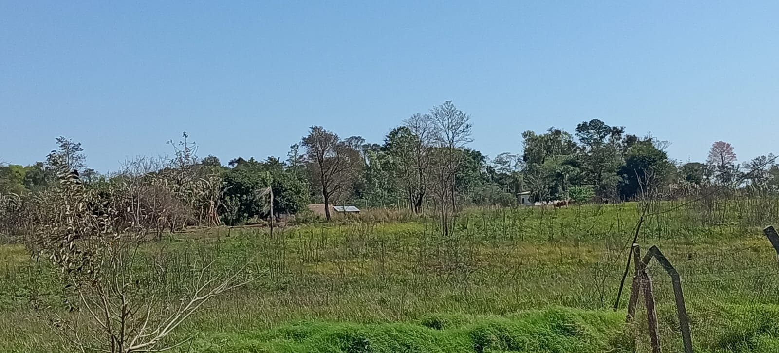 Foto de galería