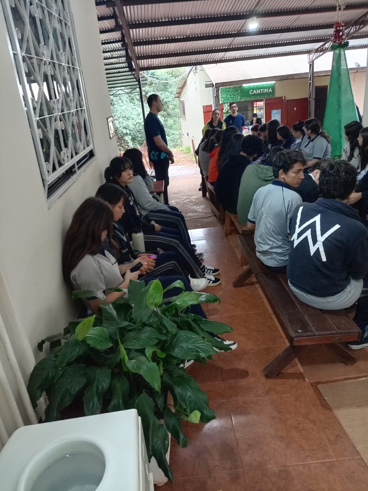 Foto de galería
